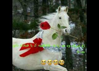  اخ اخ جيران ججارا ته زبيرناكم