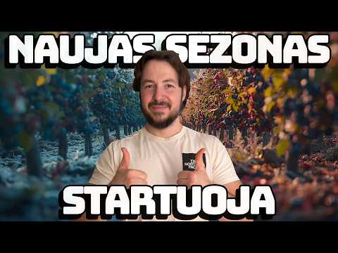 Prasidėjo ūkio Sezonas Kiek žalos Padarė Pelėnai