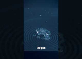  Water Levitates The Leidenfrost Effect Explained