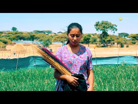 Buraka Fininsa Bure Hulansibana New Ethiopian Oromo Music 2019 Official Video