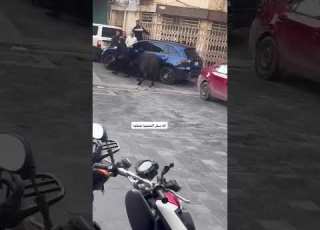 عجل هائج في الكاظمية خطية الحجية