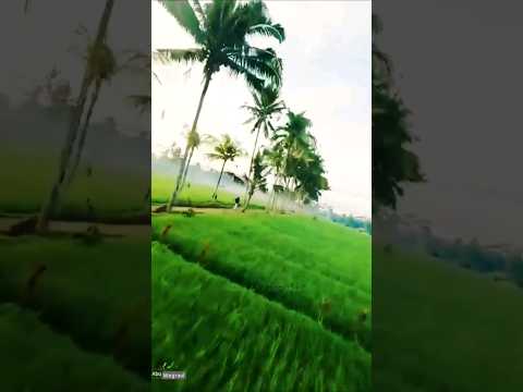 عشقت انا الألأم ابوبكر سالم عبدالله الرويشد الفن الحضرمي Explore أبوبكر سالم Sho Shorts Short