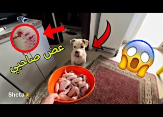 بويكا خرج الشارع لاول مرة بعد الخناقة ونابو المور