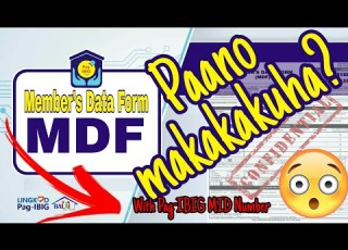  MDF Member S Data Form Pag IBIG How To Get Form With MID Number