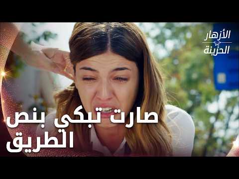 دفني عرفت إن نازان ليست أمها الحقيقية الحلقة 165 الأزهار الحزينة Kırgın Çiçekler