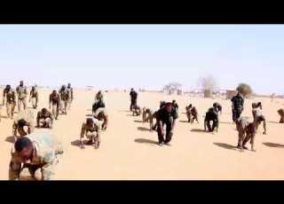  شمس في عرى الظلام صفحات من حياة الشهيد علي عبد الفتاح