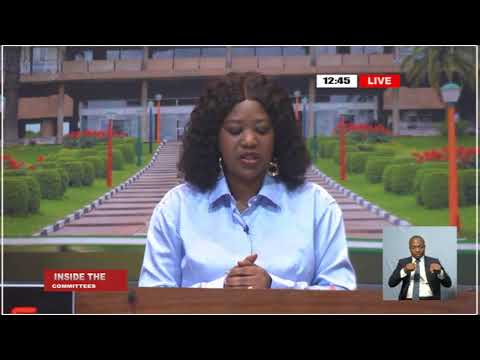 COMMITTEE ON LOCAL GOVERNANCE HOUSING AND CHIEF S AFFAIRS