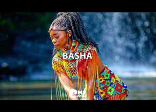 AMAPIANO INSTRUMENTAL Basha 2025 South Africa AMAPIANO Type Beat