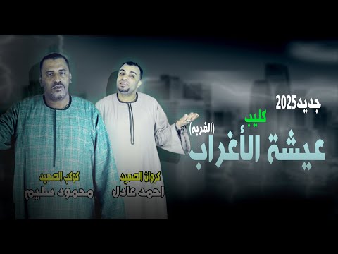 جديد2025 دويتو الكوكب والكروان كليب عيشة الأغراب الغربه محمود سليم احمد عادل New Clip2025 جديد2025 دويتو الكوكب والكروان كليب عيشة الأغراب الغربه محمود سليم احمد عادل New Clip2025