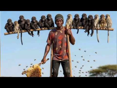 HENSAMU SHILAGI KOLASI KALI 2026 By Msambazaji Kaswahili Mungo TV