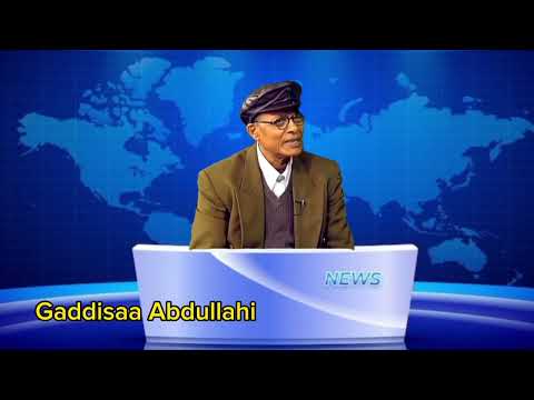 Gaddisaa Abdullahi Ethiopian Oromoo Music On FUGUG TV Gaddisaa Abdullahi Ethiopian Oromoo Music On FUGUG TV