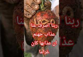 ربنا اصرف عنا عذاب جهنم ان عذابها كان غراما