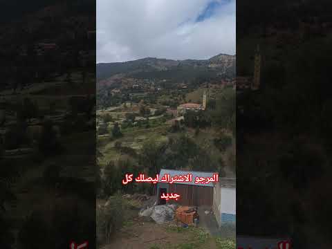 الدكاءالاصطناعي المراه اكسبلور تيك توك تصويري ترند الرمال لايك العظماء في اهميه الغلا