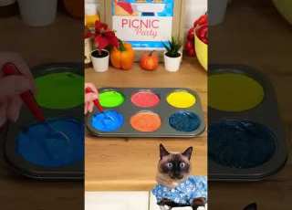  Meow Madness Edible Paint Experiments Life Hack Surprises Reaction