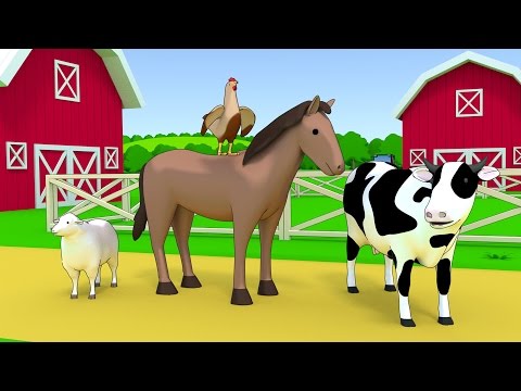 Domestic Animals Of The Farm