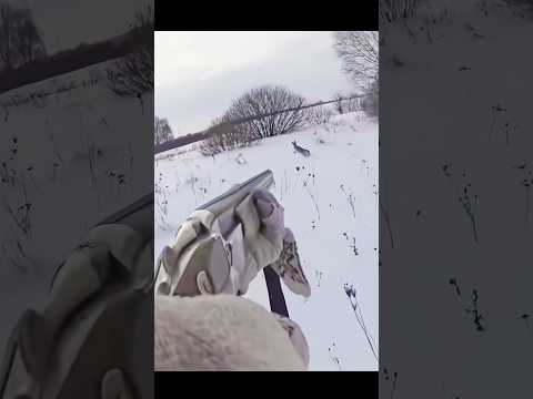 Ultimate Winter Rabbit Hunting Adventure Extreme Cold Hunt 2025 Rabbithunting Winterhunting Ultimate Winter Rabbit Hunting Adventure Extreme Cold Hunt 2025 Rabbithunting Winterhunting