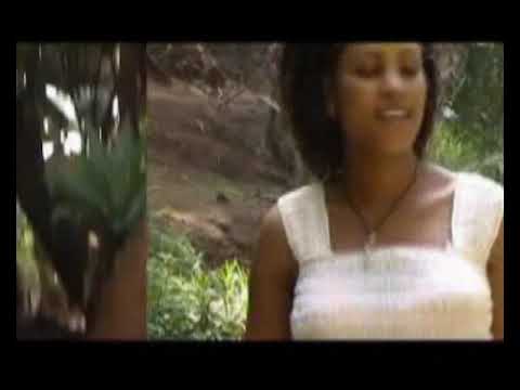 ብርሃኔ ዳምቴ የሸበሉ ነብር Brhane Damte Yeshebelu Nebr New Ethiopian Music January 2025 ብርሃኔ ዳምቴ የሸበሉ ነብር Brhane Damte Yeshebelu Nebr New Ethiopian Music January 2025