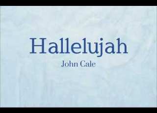  John Cale Hallelujah Lyrics