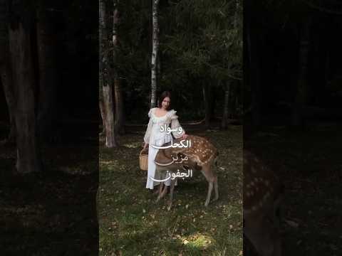 و أنا ما بنلام أغنية كيف عملت هيك بلال دركي اشتراك بالقناة ترند اغاني عربية حب