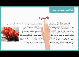 الاسفنج لغتي ثالث ابتدائي نموذج اختبار 2 الاسفنج الصف الثالث الابتدائي ف1 المنهج السعودي لغتي