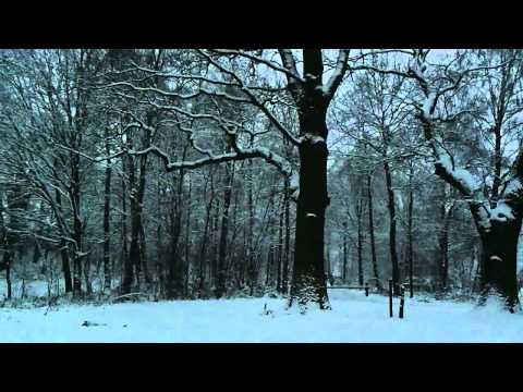 فيروز رجعت الشتوية