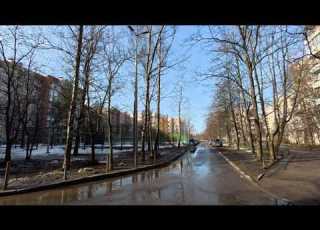  A Walk In Old Peterhof On March 10 2026