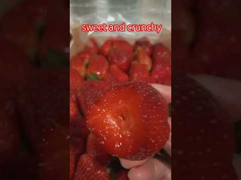 It S Worth The Price