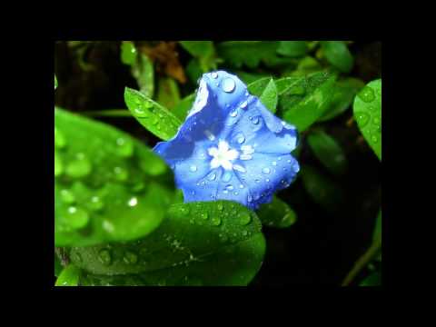 الونة اللي بقلبك عبدالرحمن الجميل