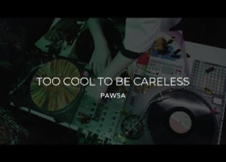  TOO COOL TO BE CARELESS PAWSA LYRICS