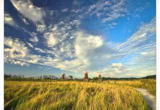 들고양이들 어화둥둥 내사랑 Kpop 韓國歌謠