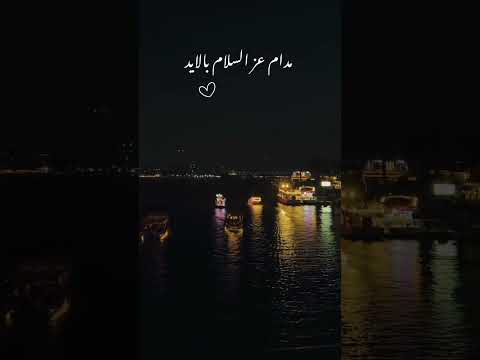 يابعيد عن عيني يااعيني عمرودياب
