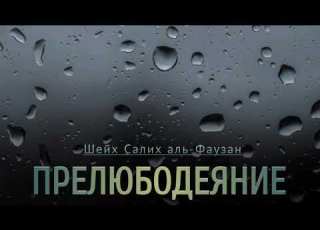 ЗИНА ПРЕЛЮБОДЕЯНИЕ Шейх Салих аль Фаузан