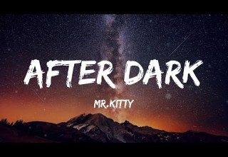 Mr Kitty After Dark Lyrics