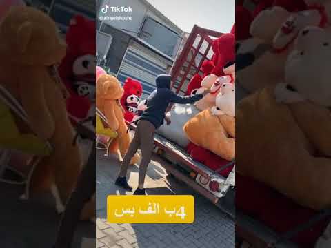 شوفو دباديب والله كلهم الي