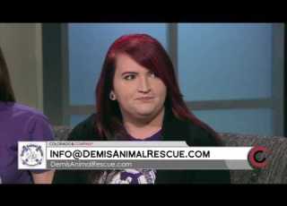  Demis Animal Rescue February 21 2017