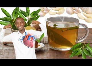 Amazing Drink Garlic Mango Leaves Is It Medicine Yes