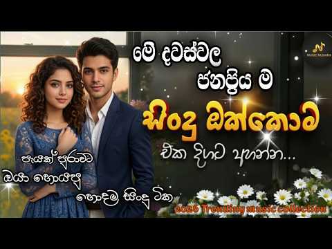 2026 හ ඳම ස හල ස ද එක ද ගටම Best Sinhala Songs 2026 Trending Songs E D M Cover
