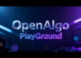  OpenAlgo Playground New Feature Explained