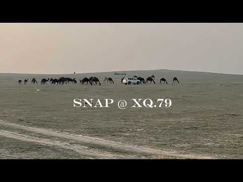 و السلام النبيه الي حذفته عبور صالح ال مانعه مرابيع صدري مسرع ٢٠٢٣