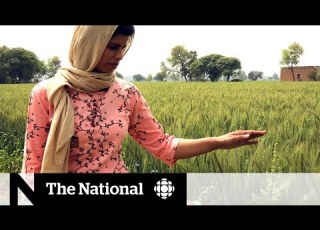  The Suicide Crisis Hiding Behind India S Farmer Protests
