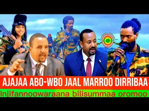 The Top Commander Of The Abo Wbo Jaal Marroo Dirribaa Has Revealed A Strong Secret