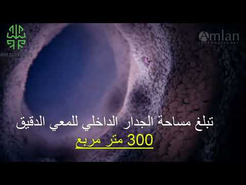 الامتصاص المعوي L Absorption Intestinale الامتصاص المعوي L Absorption Intestinale
