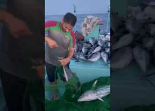 سهوه هيال كفو ابوخميس كفوشباب عمان Fishing