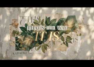 Laback That S The Way It Is Feat Sarah Lenore Karaoke