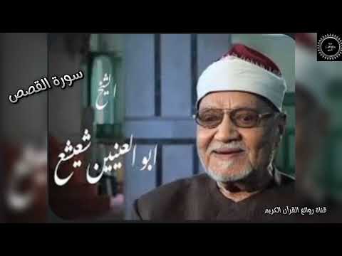 سورة القصص التلاوة التى حيرت العقول للشيخ ابوالعنين شعيشع