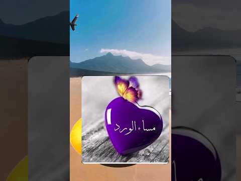 صوت صفير البلبل مساء الخير