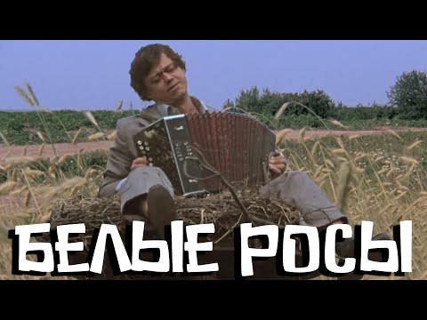 Белые росы 1983