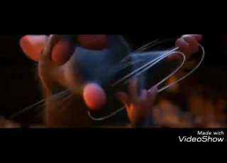  Ratatouille En Kabyle Qiqi Vu Lemraqi