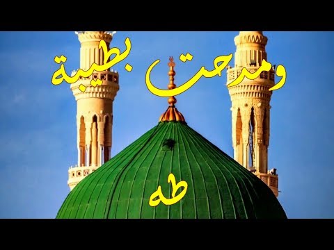 من أروع المدائح الدينية ومدحت بطيبة طه