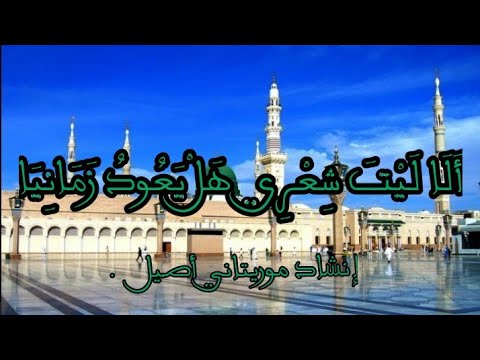 ألا ليت شعري هل يعود زمانيا إنشاد موريتاني أصيل